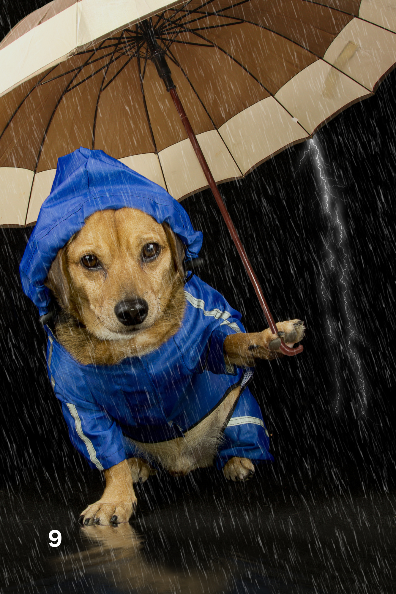 I Really Like Puddles — Mandarin Chinese Edition